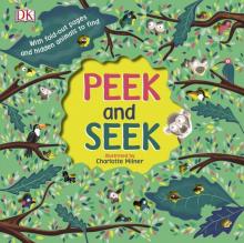 Peek and Seek  (board book)
