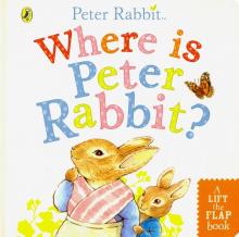 Where is Peter Rabbit?  (board bk)