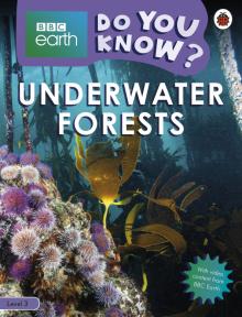 Do You Know? Underwater Forests (Level 3)