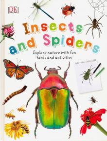 Nature Explorers: Insects and Spiders (HB)