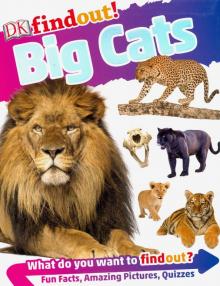 Big Cats