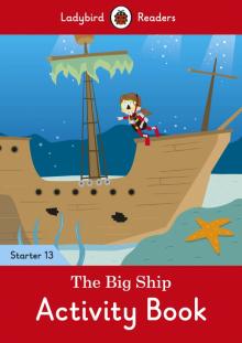 Big Ship, the - Level 13 Activity Book