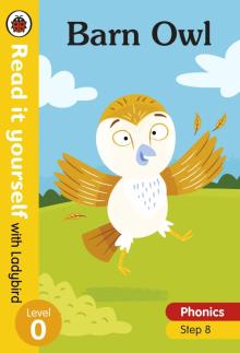 Barn Owl (Phonics Step 8)