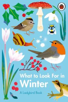 What to Look For in Winter (HB)