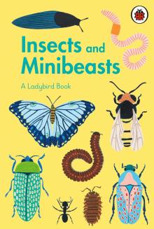 Ladybird Book: Insects and Minibeasts  (HB)