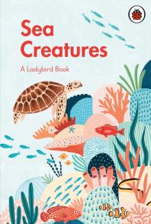 Ladybird Book: Sea Creatures  (HB)