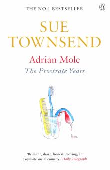Adrian Mole: Prostrate Years