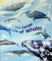 Secret Life of Whales HB