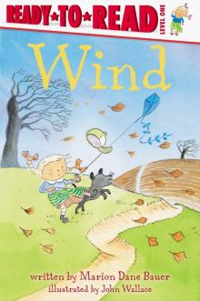 Weather: Wind  (Ready to Read level 1)