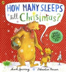 How Many Sleeps till Christmas?  (PB) illustr.