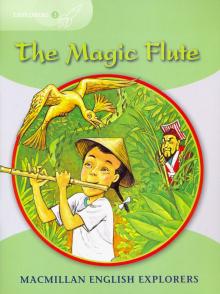 Magic Flute Reader