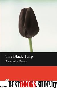 Black Tulip