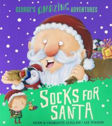 Socks for Santa  (PB) illustr.