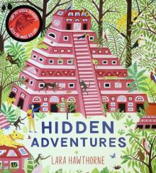 Hidden Adventures (Search & Find Books) PB illustr