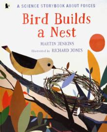 Bird Builds a Nest: A Science Storybook about For.