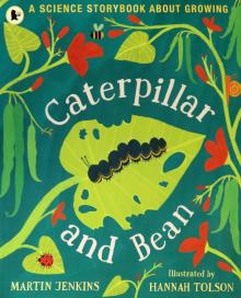 Caterpillar and Bean: A Science Storybook about