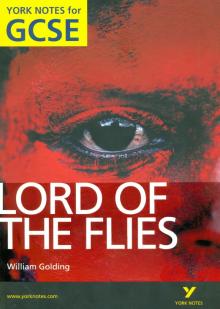 Lord of The Flies: York Notes for GCSE