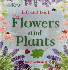 Lift and Look Flowers and Plants (board book)