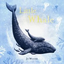 Little Whale (PB) illustr.