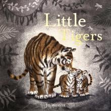 Little Tigers  (PB) illustr.