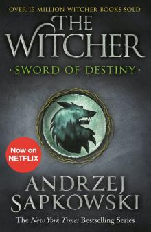 Sword of Destiny (The Witcher) Ned