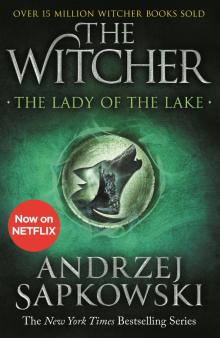 Lady of the Lake, the (The Witcher 5) Ned