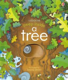 Peep Inside a Tree  (board book)