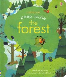 Peep Inside the Forest  Board book