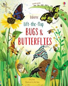 Lift-the-Flap Bugs and Butterflies  (board bk)