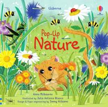 Pop-Up Nature (board book)