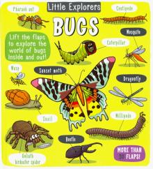 Little Explorers: Bugs (Lift-the-flap board book)