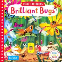 First Explorers: Brilliant Bugs  (board book)
