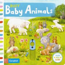 Busy Baby Animals  (board book)