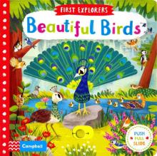 First Explorers: Beautiful Birds  (board book)