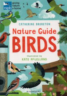 Nature Guide: Birds