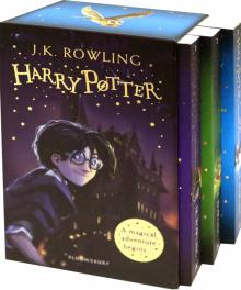 Harry Potter: The Magical Adventure Begins Boxset