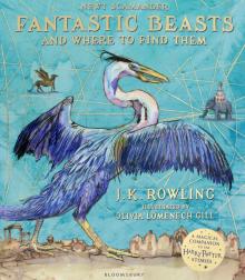 Fantastic Beasts and Where to Find Them: Illustrat