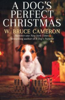 Dogs Perfect Christmas, a'