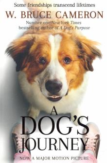 Dogs Journey, a'
