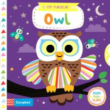 My Magical Owl  (board book)