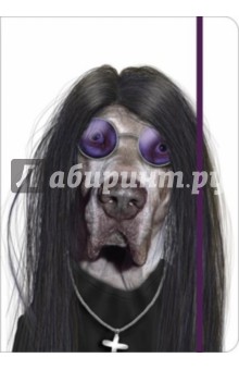 Книга линов. на резинке 60625 Таккода. Оззи