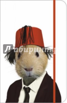 Книга линов. на резинке А6, 60628 Таккода.Томми