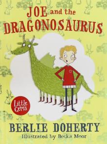 Joe And The Dragonosaurus (Colour Illustrations)