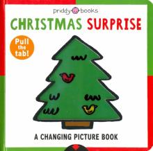 Christmas Surprise Board book