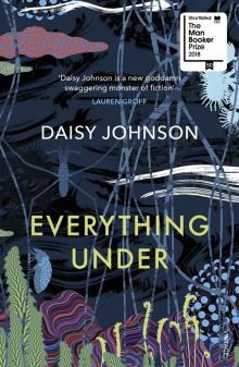 Everything Under (Booker Prize18 Shortlist)'