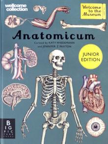 Anatomicum Junior (HB)