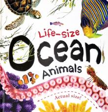 Life-size: Ocean Animals (board book)