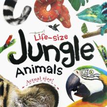 Life-size: Jungle Animals (board book)