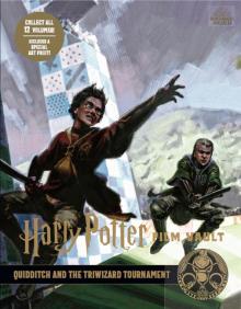 Harry Potter Film Vault Vol.7Quidditch & Triwizard