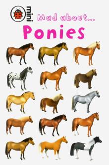 Mad about Ponies  (HB)